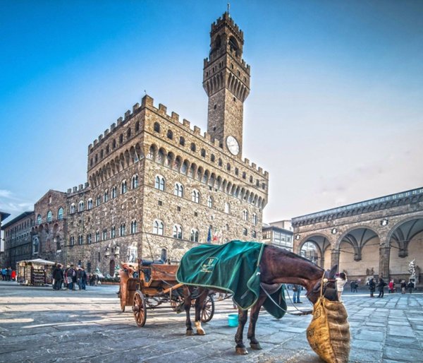 terreno edificabile in vendita a Firenze
