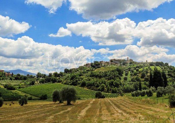 negozio in vendita a Firenze