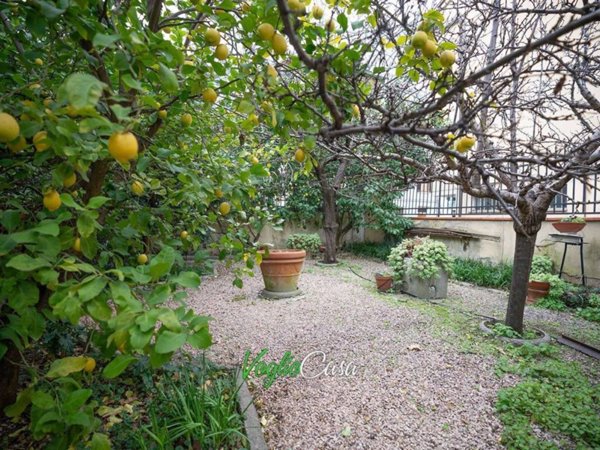 immagine annuncio 0 di 15