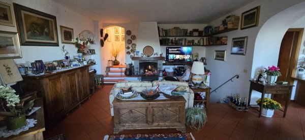 esavano in vendita a Firenze in zona Galluzzo