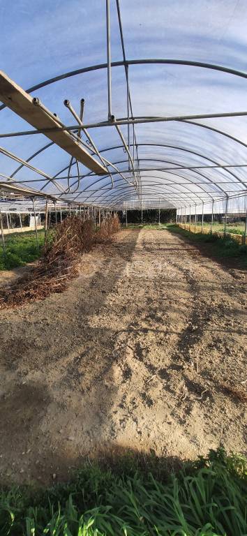 terreno agricolo in vendita a Firenze in zona Cintoia