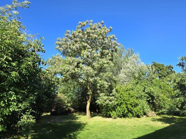 casa indipendente in vendita a Firenze in zona Mantignano