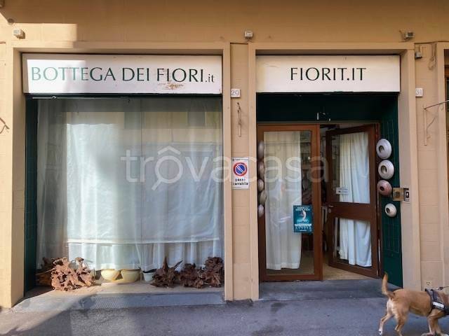 negozio in vendita a Firenze in zona Novoli