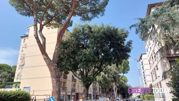 negozio in vendita a Firenze