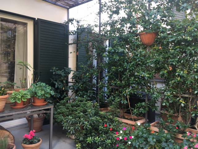 appartamento in vendita a Firenze in zona Centro Storico