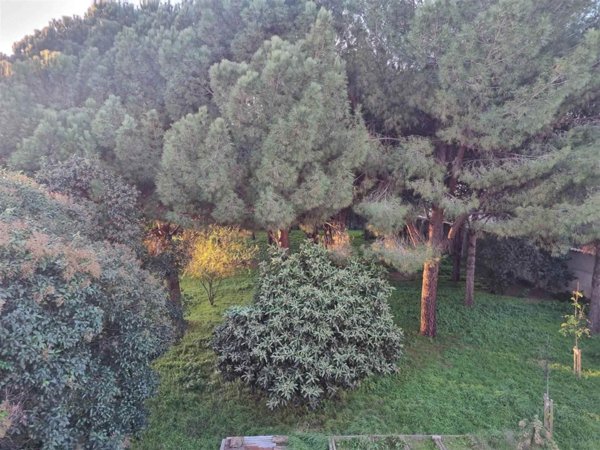 casa indipendente in vendita a Firenze in zona Coverciano