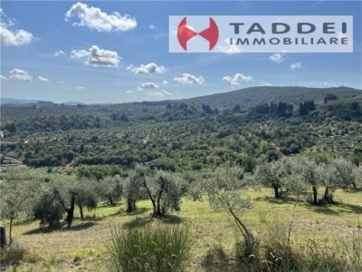 terreno agricolo in vendita a Firenze