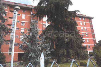 appartamento in vendita a Firenze in zona Cintoia