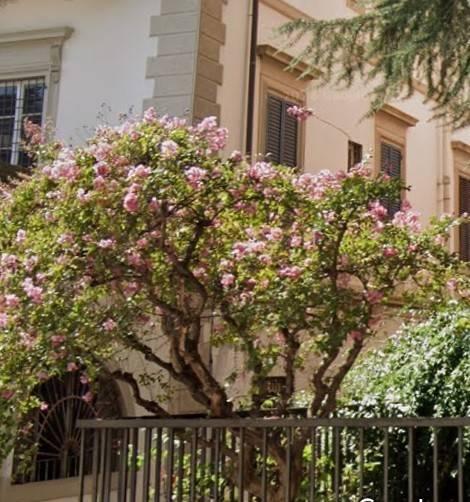 appartamento in vendita a Firenze in zona La Lastra