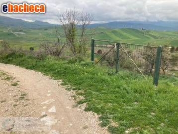 terreno agricolo in vendita a Firenze