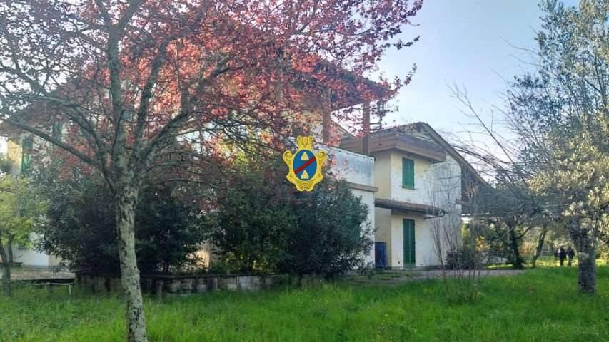 immagine annuncio 0 di 15