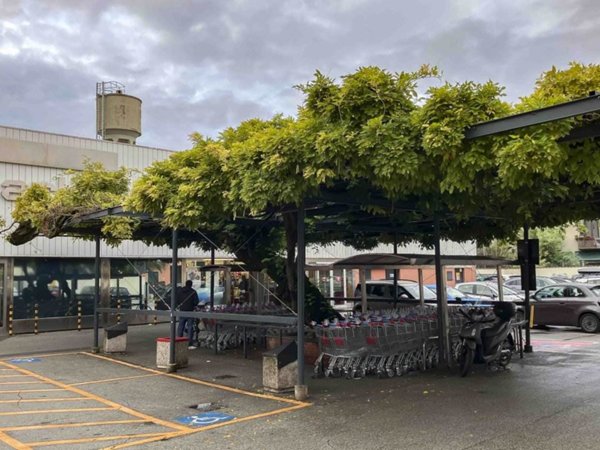 negozio in vendita a Firenze in zona Centro San Frediano