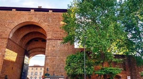 negozio in vendita a Firenze in zona Centro San Frediano