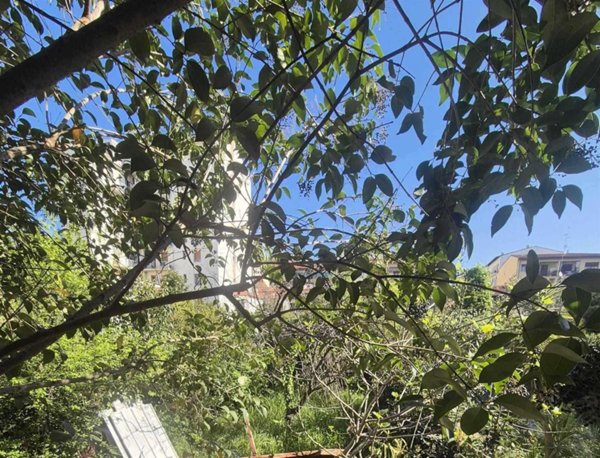 casa indipendente in vendita a Firenze in zona Centro Storico