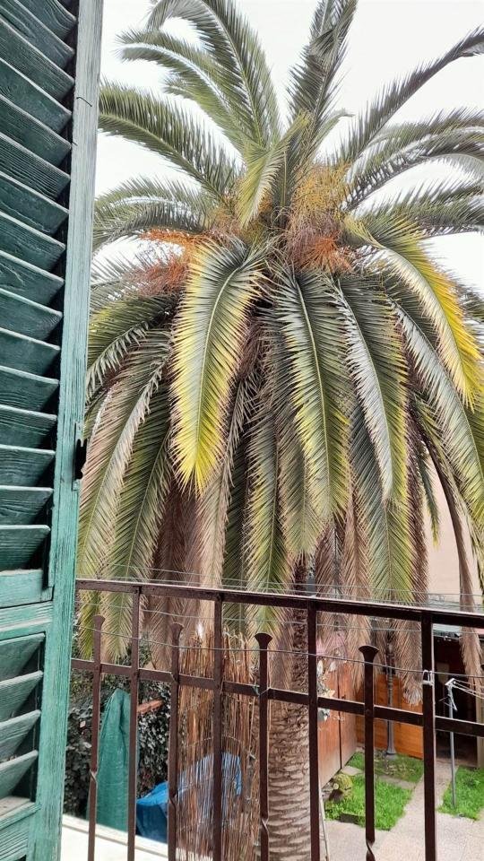 appartamento in vendita a Firenze in zona Bellariva
