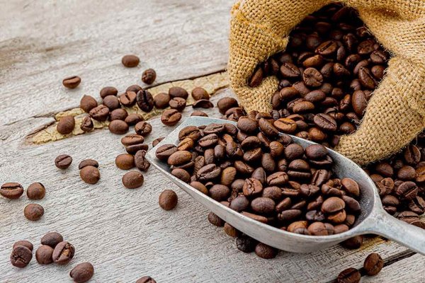 negozio in vendita a Firenze in zona Careggi