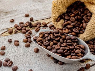 negozio in vendita a Firenze in zona Careggi