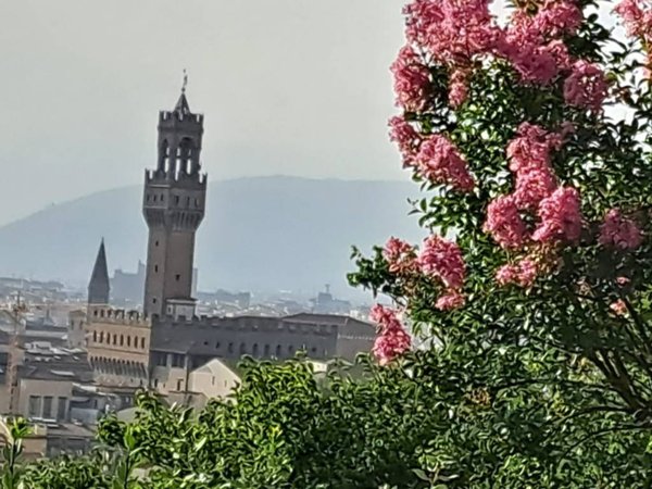 negozio in vendita a Firenze in zona Centro San Frediano