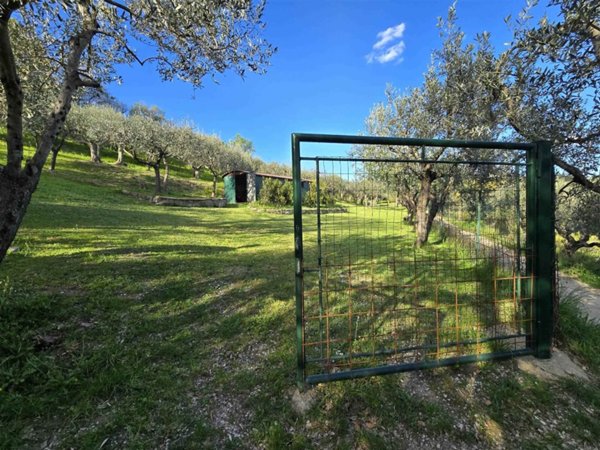 terreno agricolo in vendita a Firenze in zona Careggi