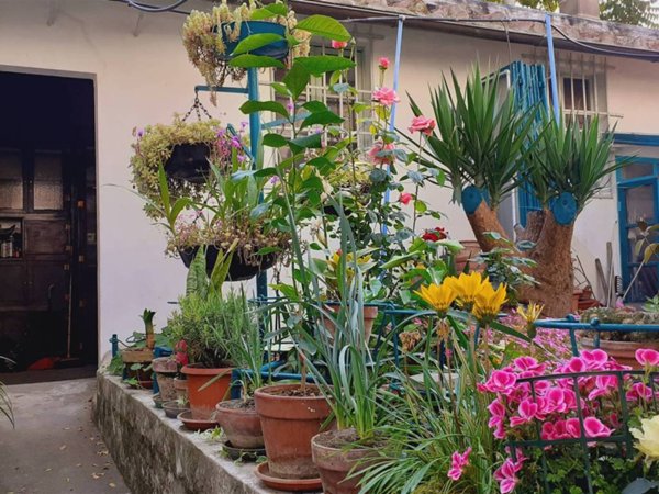 casa indipendente in vendita a Firenze in zona Isolotto