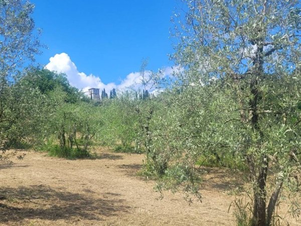 terreno agricolo in vendita a Firenze