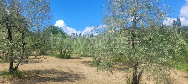 terreno agricolo in vendita a Firenze