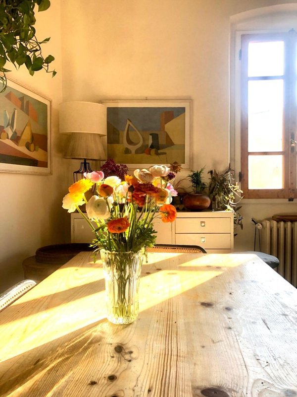 appartamento in vendita a Firenze in zona Centro San Frediano