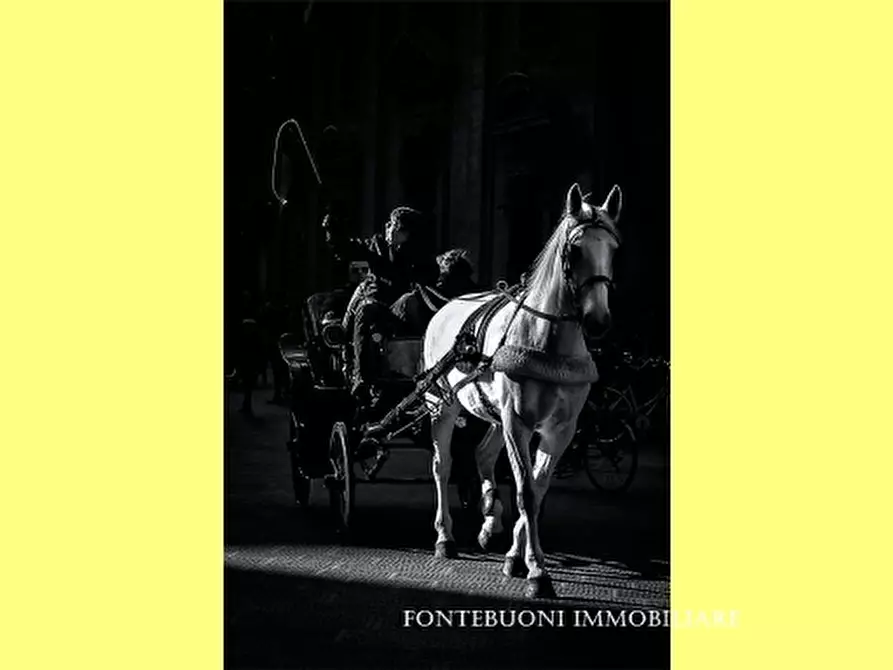 negozio in vendita a Firenze in zona Novoli