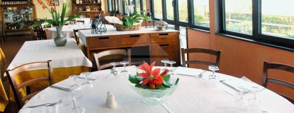 negozio in vendita a Firenze in zona Certosa