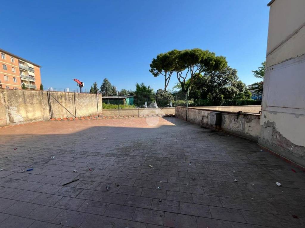 negozio in vendita a Firenze in zona Legnaia