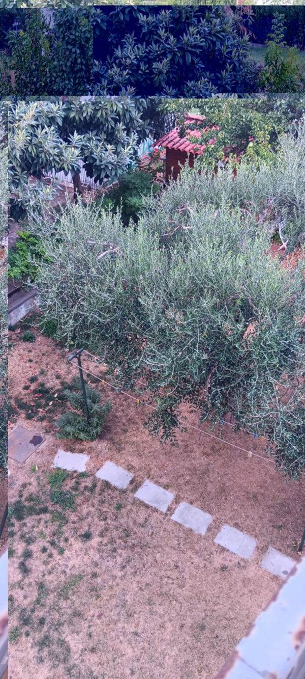 appartamento in vendita a Firenze in zona Isolotto