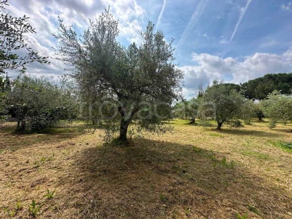 casa indipendente in vendita a Firenze in zona Rovezzano
