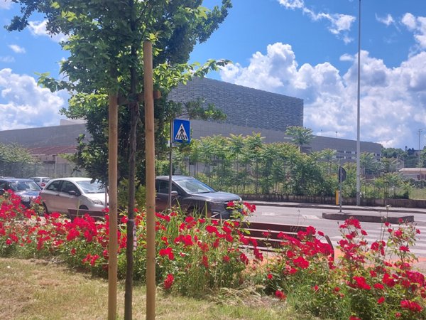 appartamento in vendita a Firenze in zona Centro Storico
