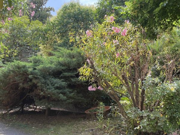 appartamento in vendita a Firenze in zona Campo di Marte