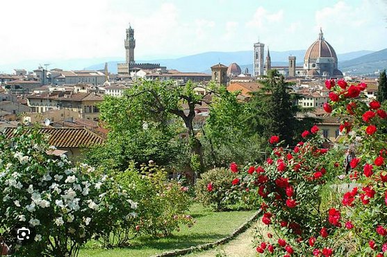 negozio in vendita a Firenze in zona Careggi