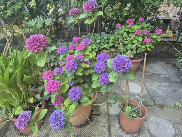 appartamento in vendita a Firenze in zona Novoli