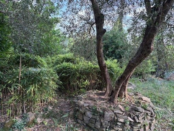 quadrivano in vendita a Firenze in zona Ponte a Ema