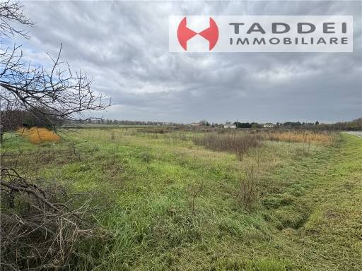 terreno agricolo in vendita a Firenze in zona Ugnano