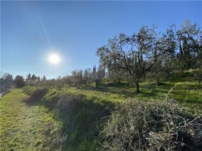 terreno agricolo in vendita a Firenze