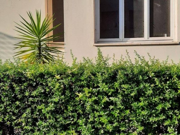 appartamento in vendita a Firenze in zona Careggi