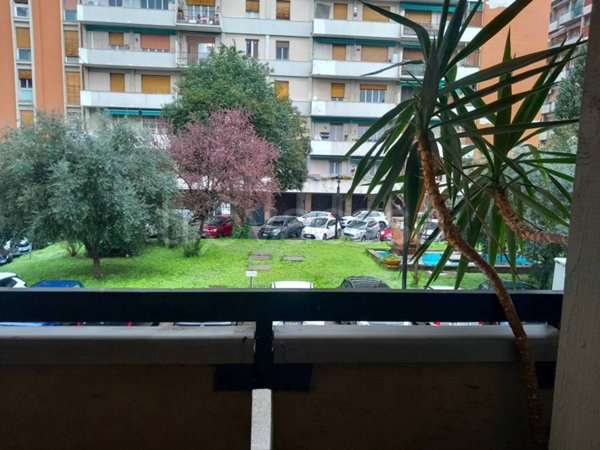 quadrivano in vendita a Firenze in zona Novoli