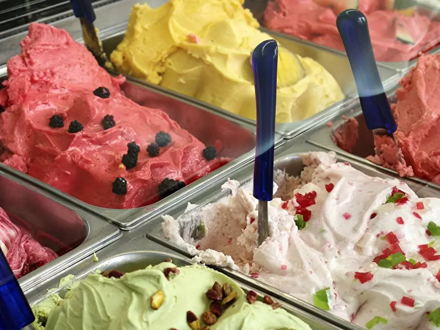negozio in vendita a Firenze in zona Isolotto