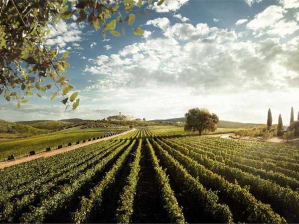 casa indipendente in vendita a Firenze in zona Le Cure