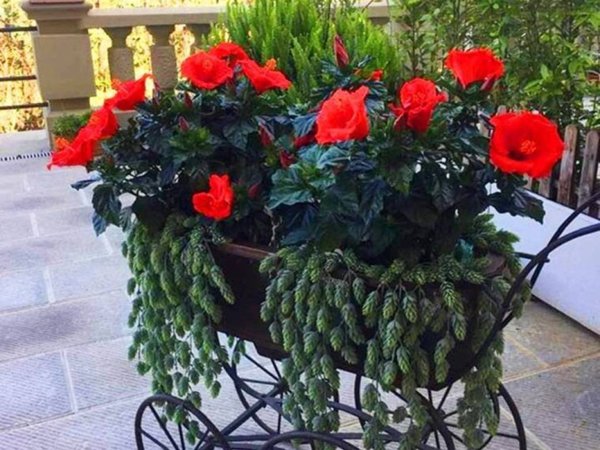 appartamento in vendita a Firenze in zona Serpiolle