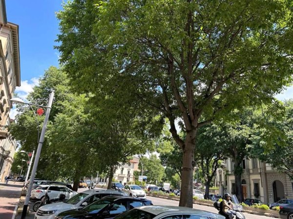 negozio in vendita a Firenze in zona Campo di Marte