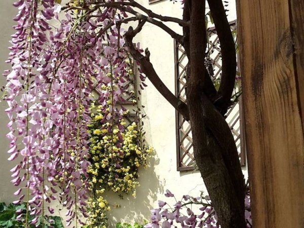 casa indipendente in vendita a Firenze in zona Settignano
