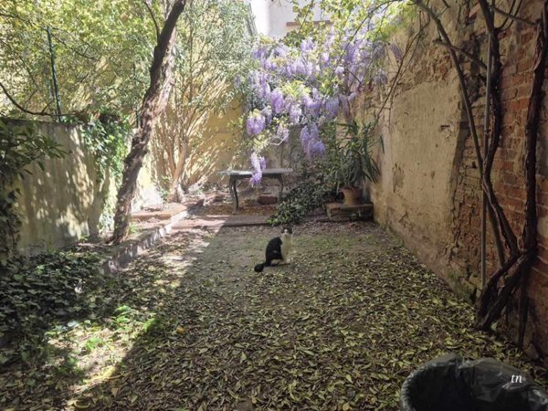 appartamento in vendita a Firenze in zona Centro Santa Croce