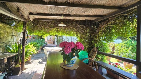 esavano in vendita a Firenze in zona Galluzzo