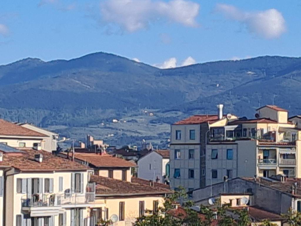 appartamento in vendita a Firenze in zona Soffiano