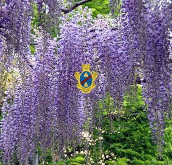 villa in vendita a Firenze in zona Porta Romana